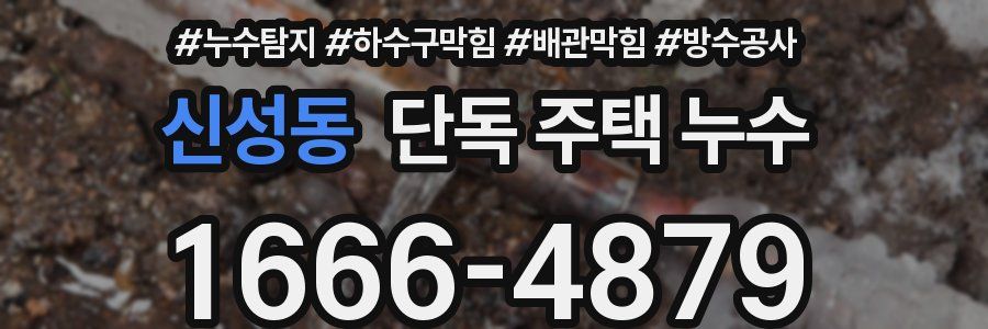 신성동 단독 주택 누수