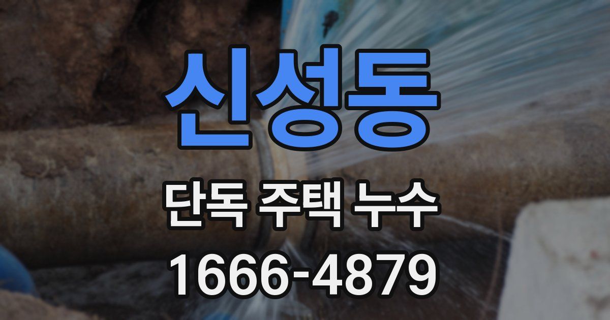 신성동 단독 주택 누수