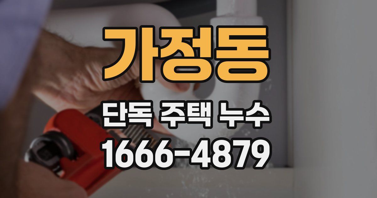 가정동 단독 주택 누수