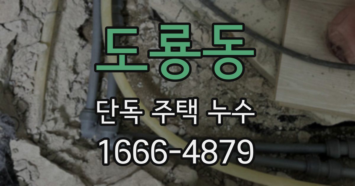 도룡동 단독 주택 누수