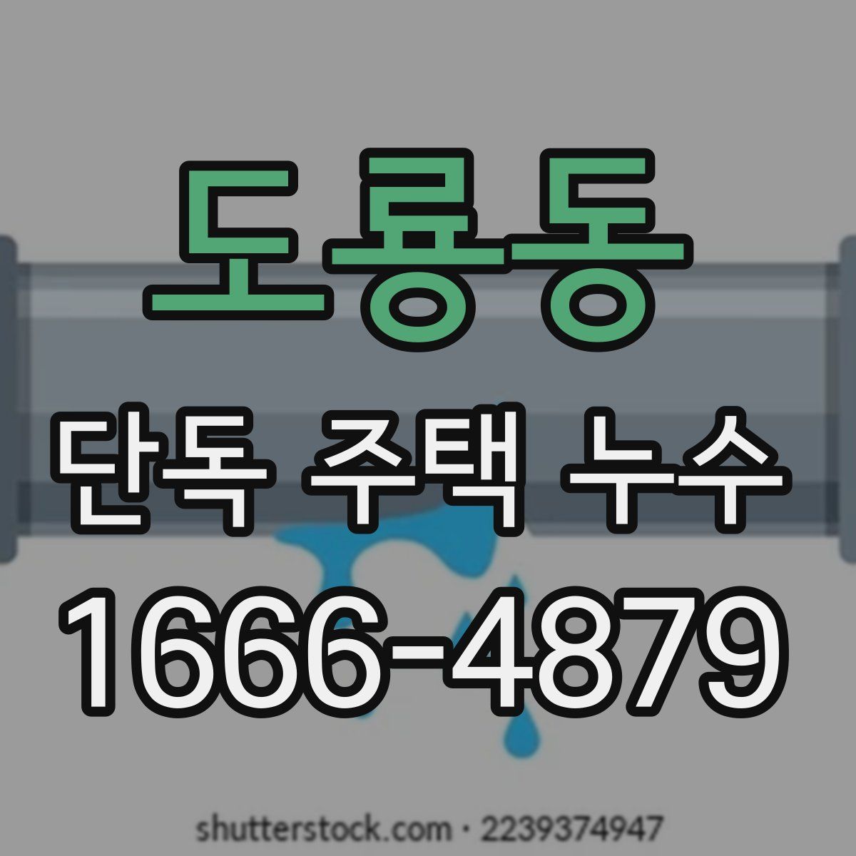도룡동 단독 주택 누수