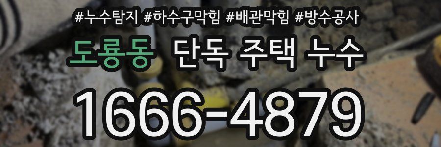 도룡동 단독 주택 누수