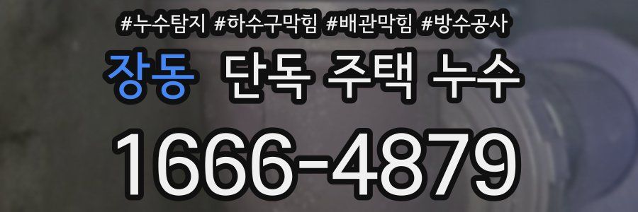 장동 단독 주택 누수