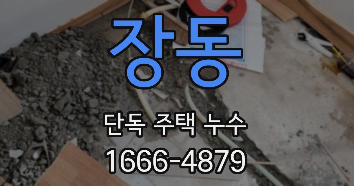 장동 단독 주택 누수
