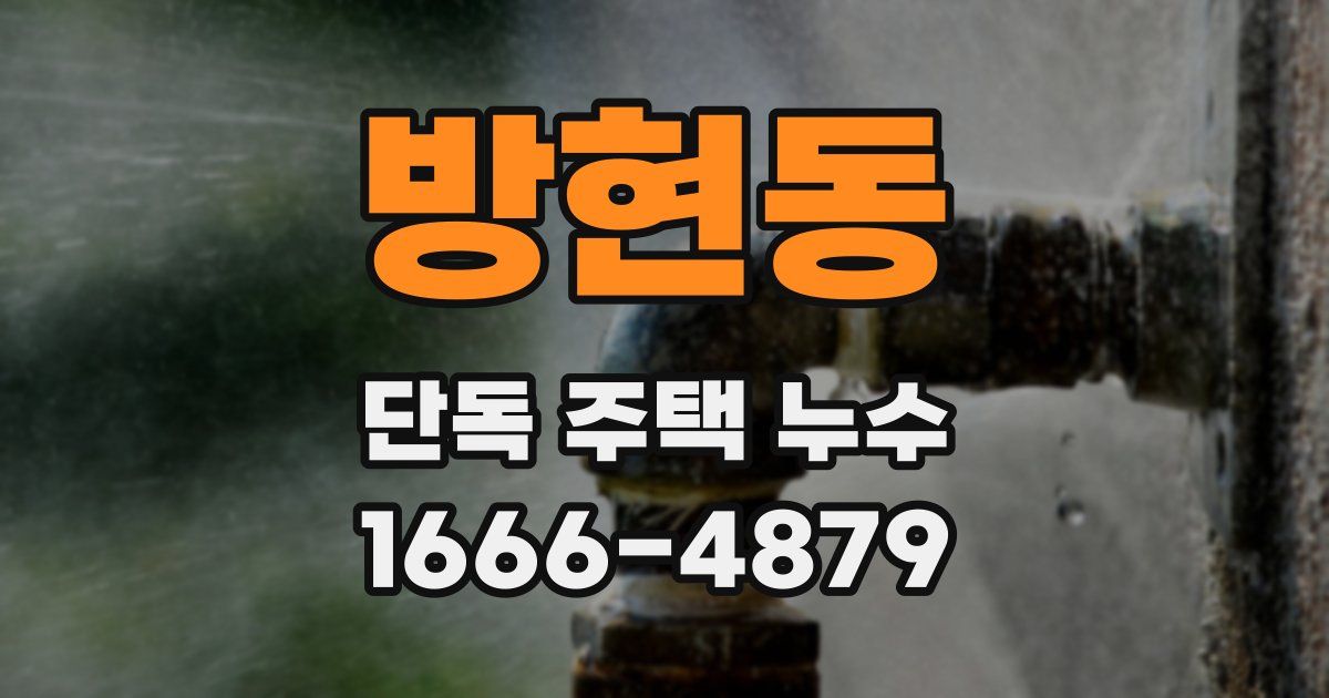 방현동 단독 주택 누수