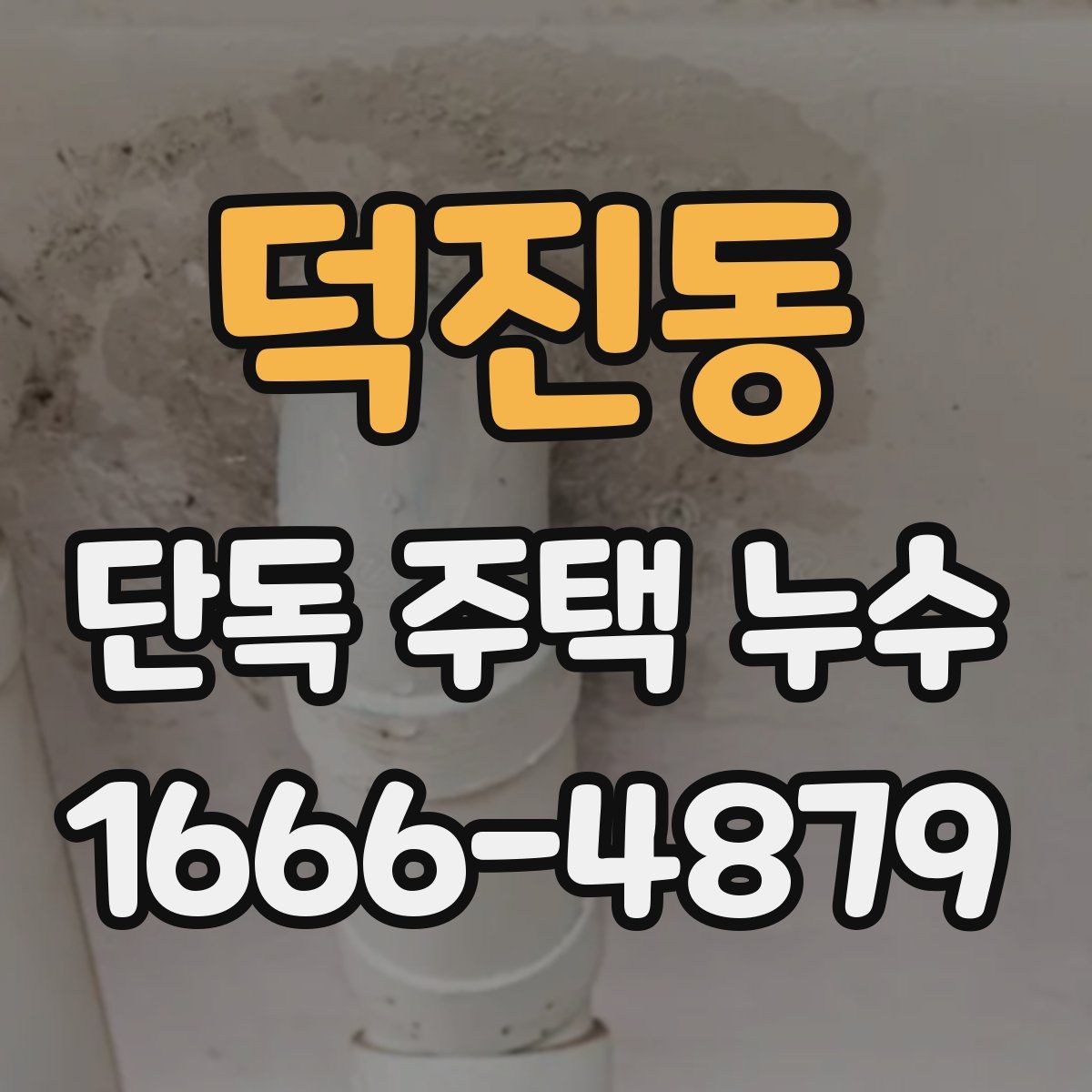 덕진동 단독 주택 누수