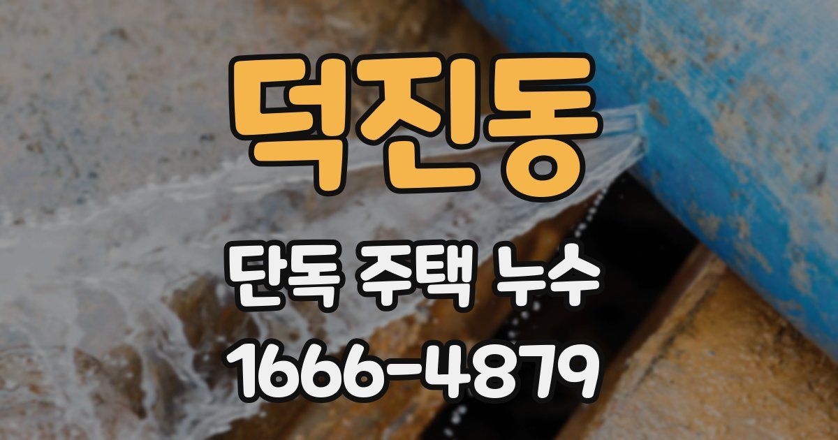 덕진동 단독 주택 누수