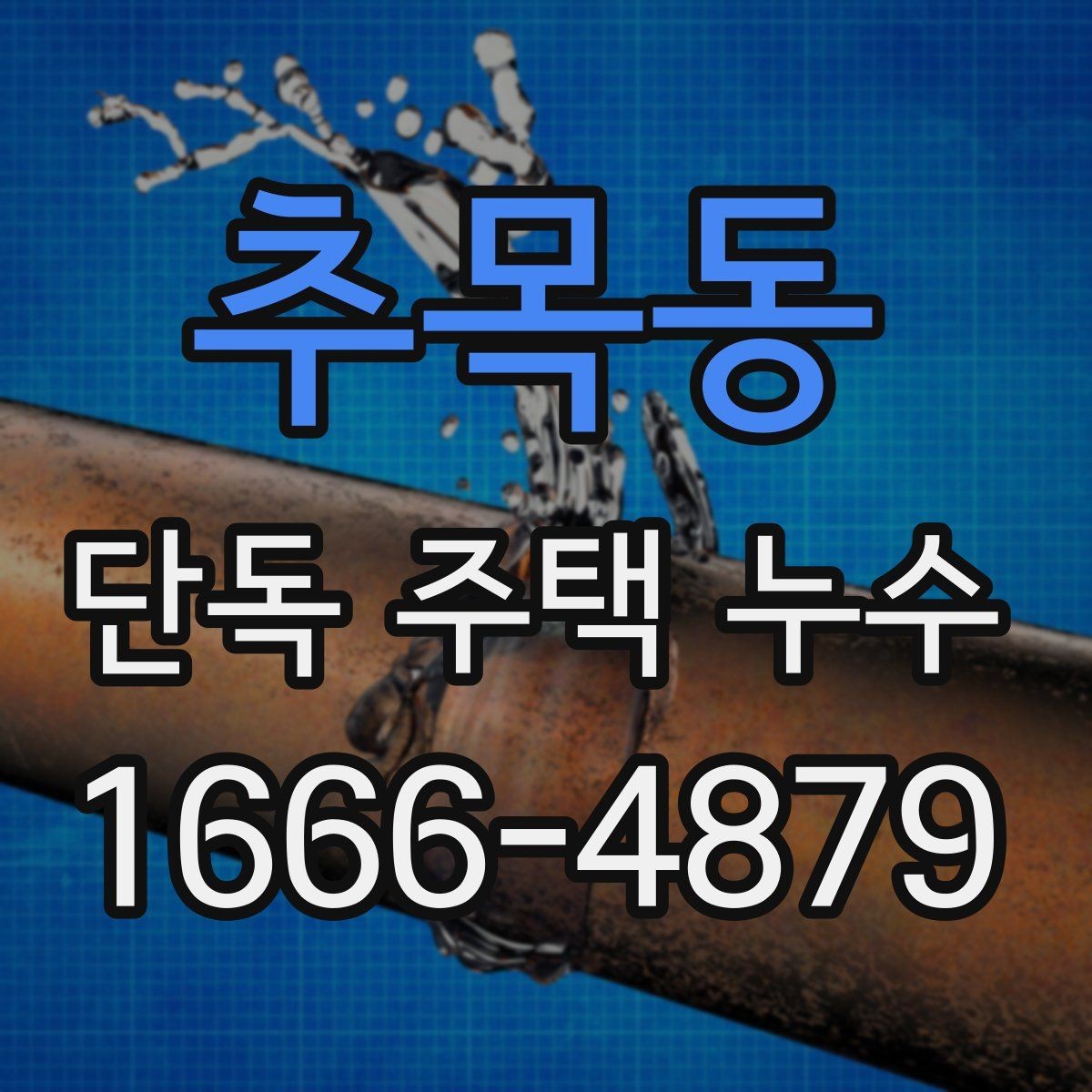 추목동 단독 주택 누수 진단 결과를 해석하는 법