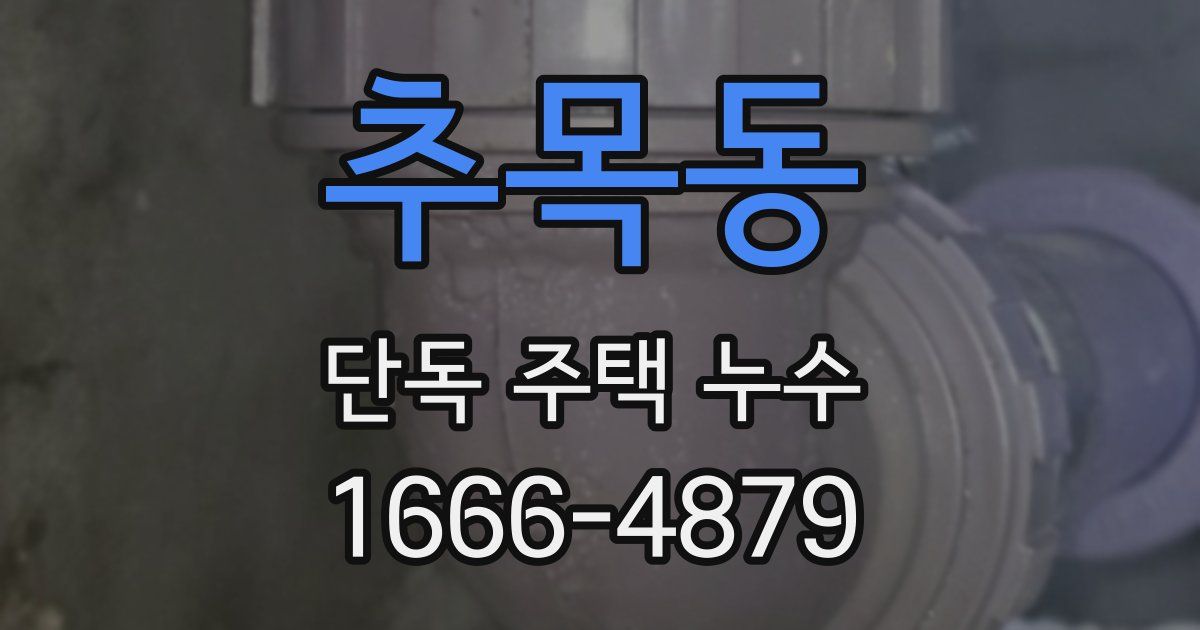 추목동 단독 주택 누수