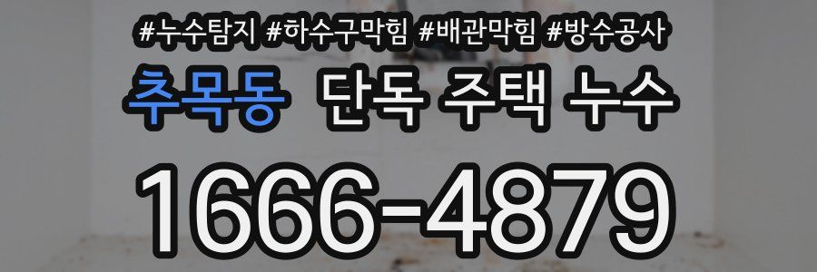 추목동 단독 주택 누수