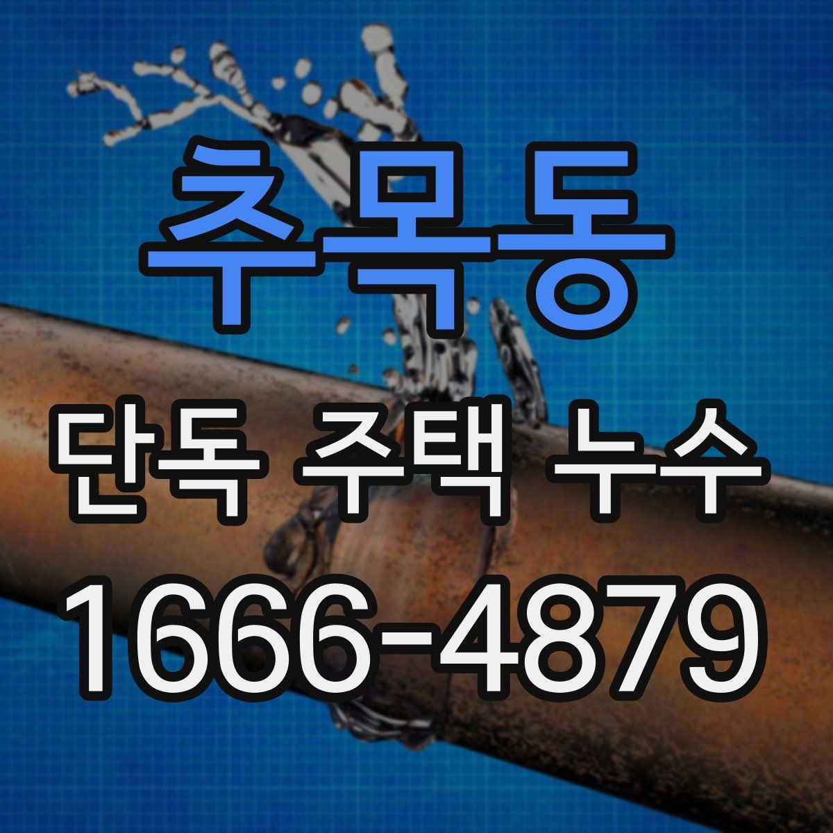 추목동 단독 주택 누수