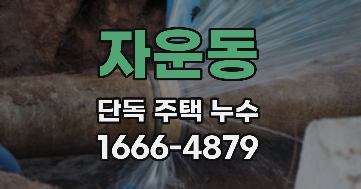 자운동 단독 주택 누수