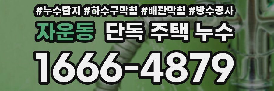 자운동 단독 주택 누수