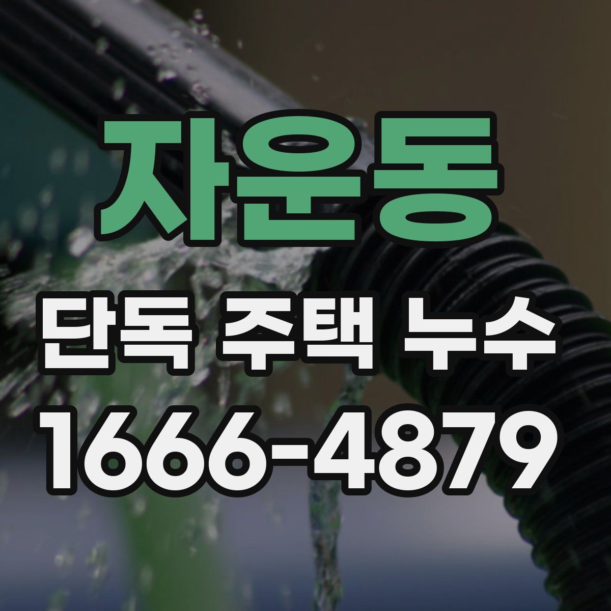 자운동 단독 주택 누수