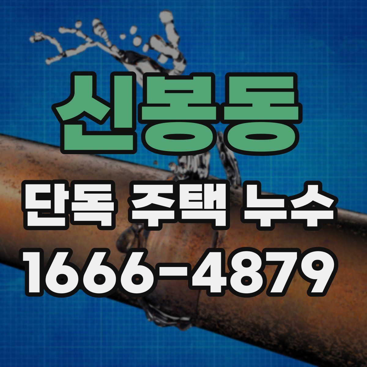 신봉동 단독 주택 누수