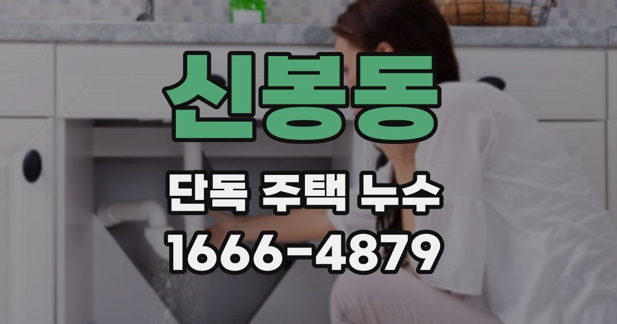 신봉동 단독 주택 누수