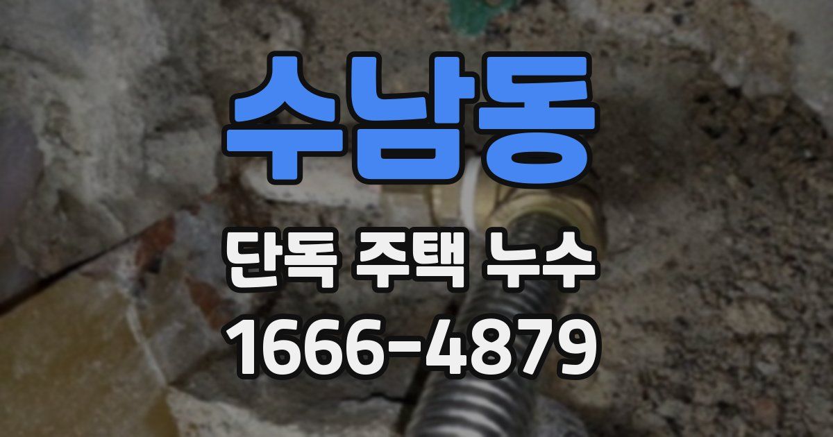 수남동 단독 주택 누수