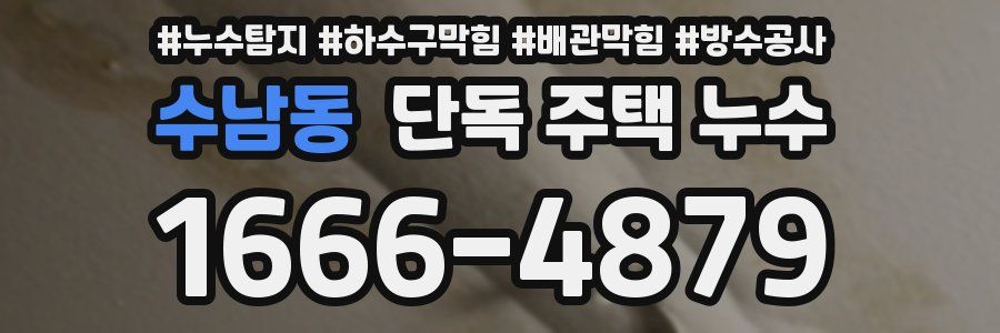 수남동 단독 주택 누수
