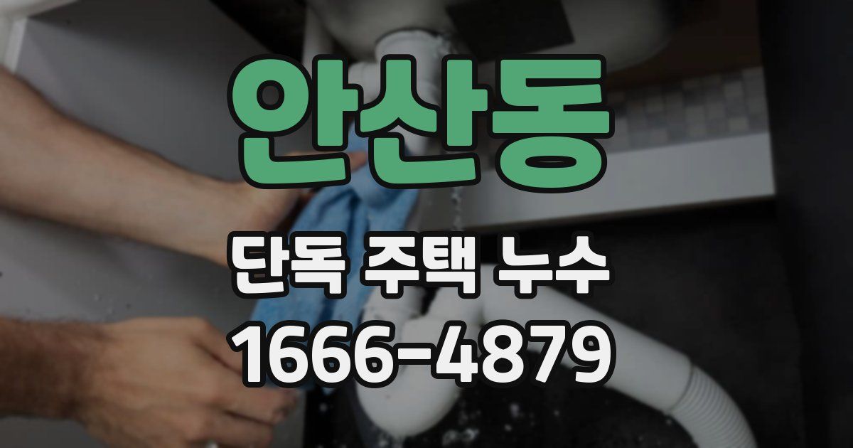 안산동 단독 주택 누수
