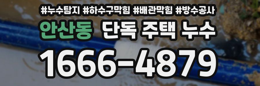 안산동 단독 주택 누수