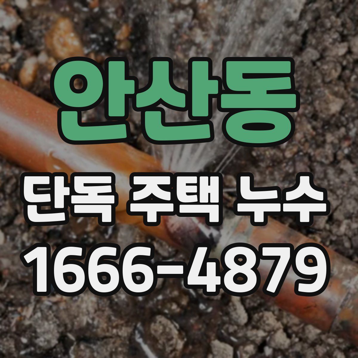 안산동 단독 주택 누수