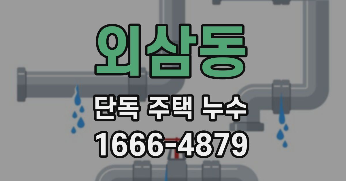외삼동 단독 주택 누수