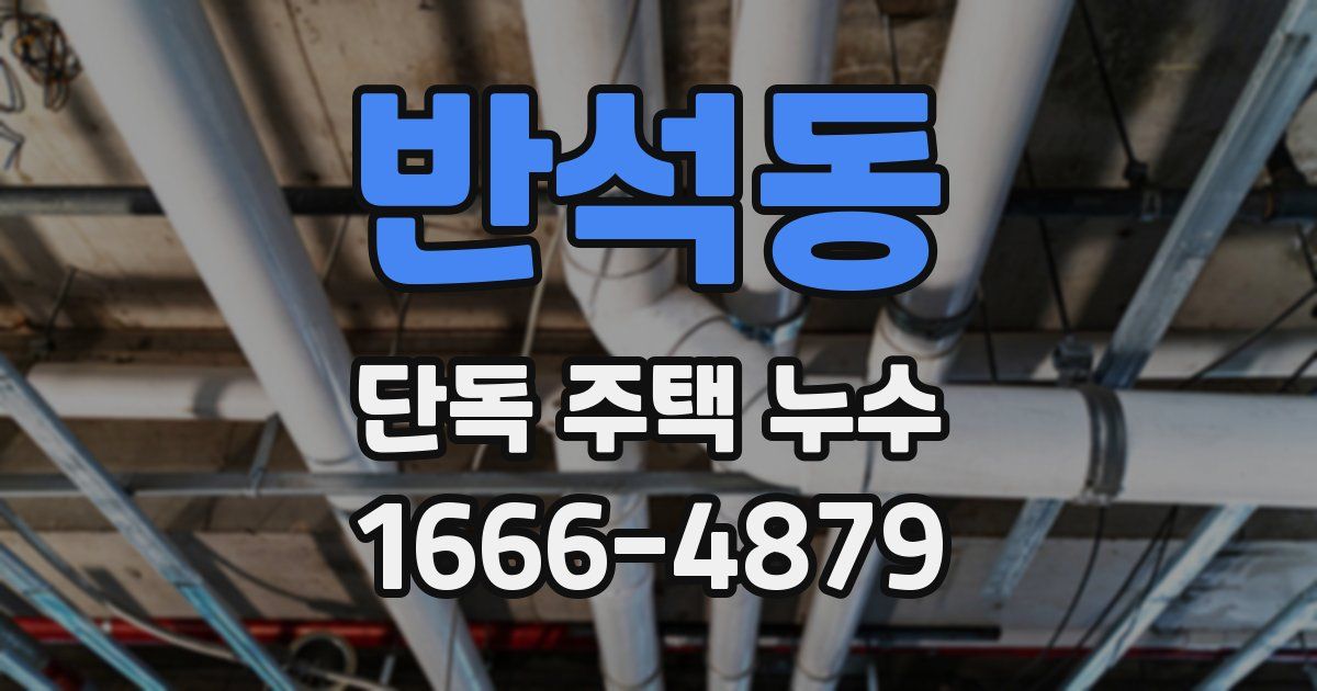 반석동 단독 주택 누수
