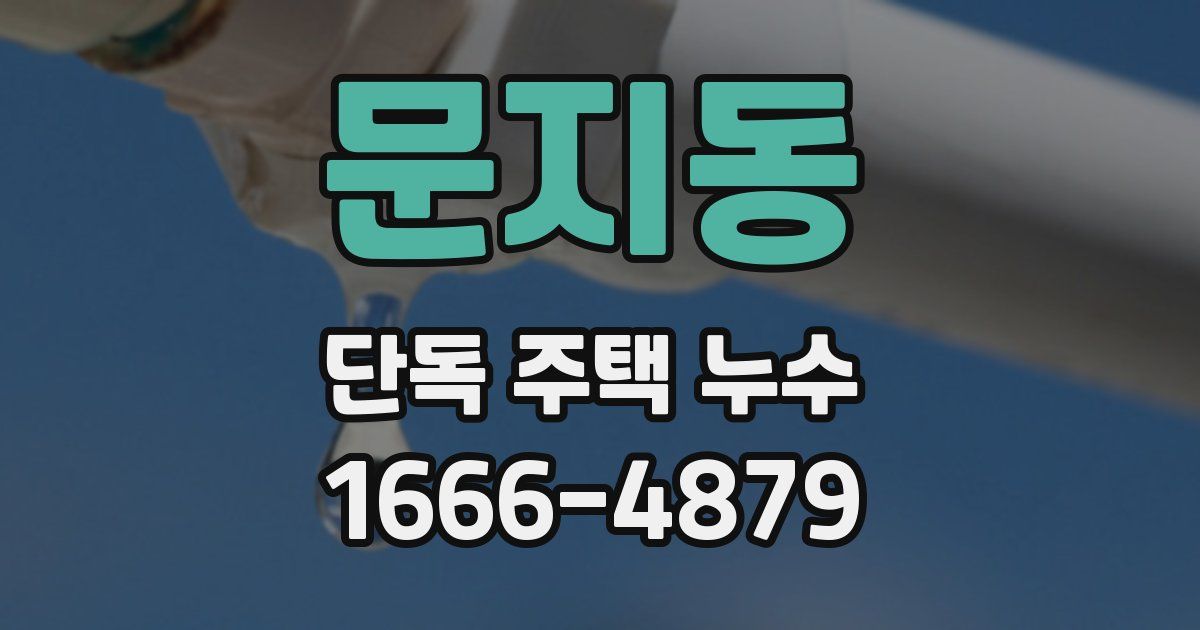 문지동 단독 주택 누수