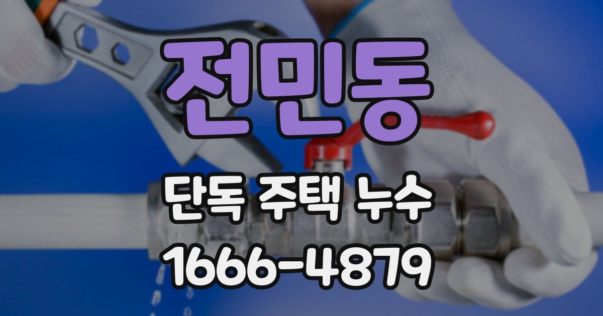 전민동 단독 주택 누수