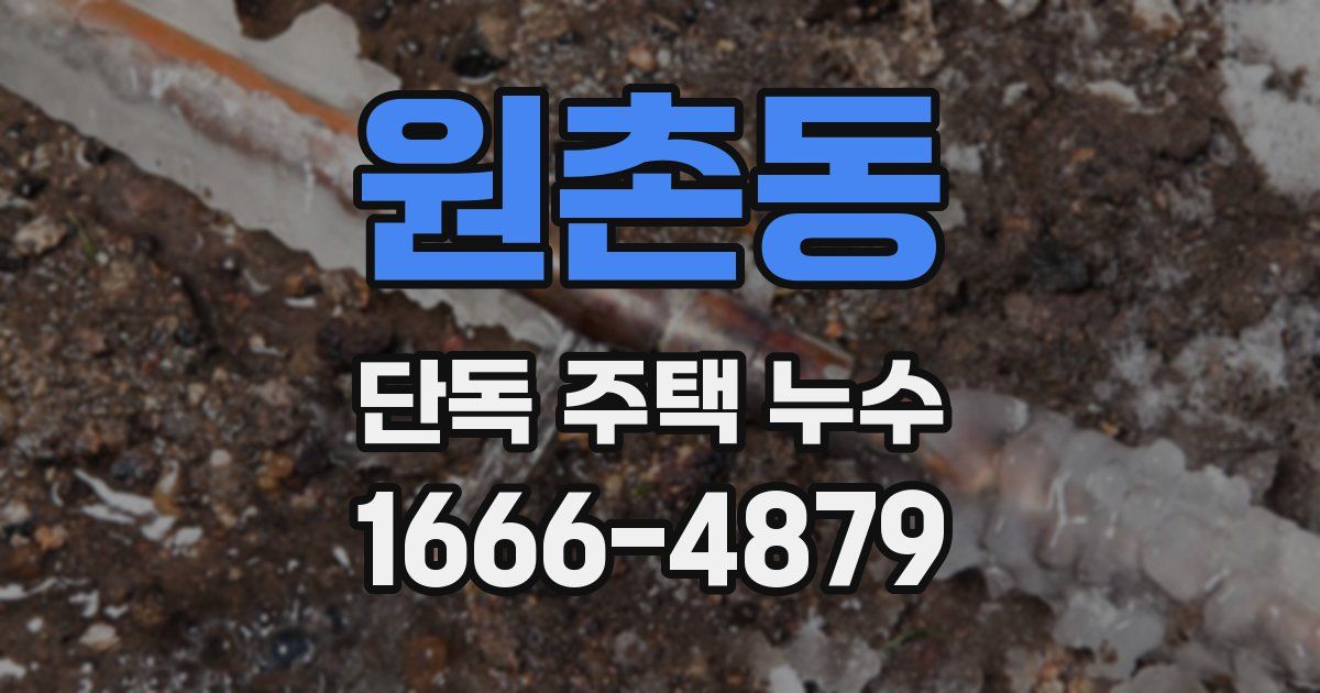 원촌동 단독 주택 누수