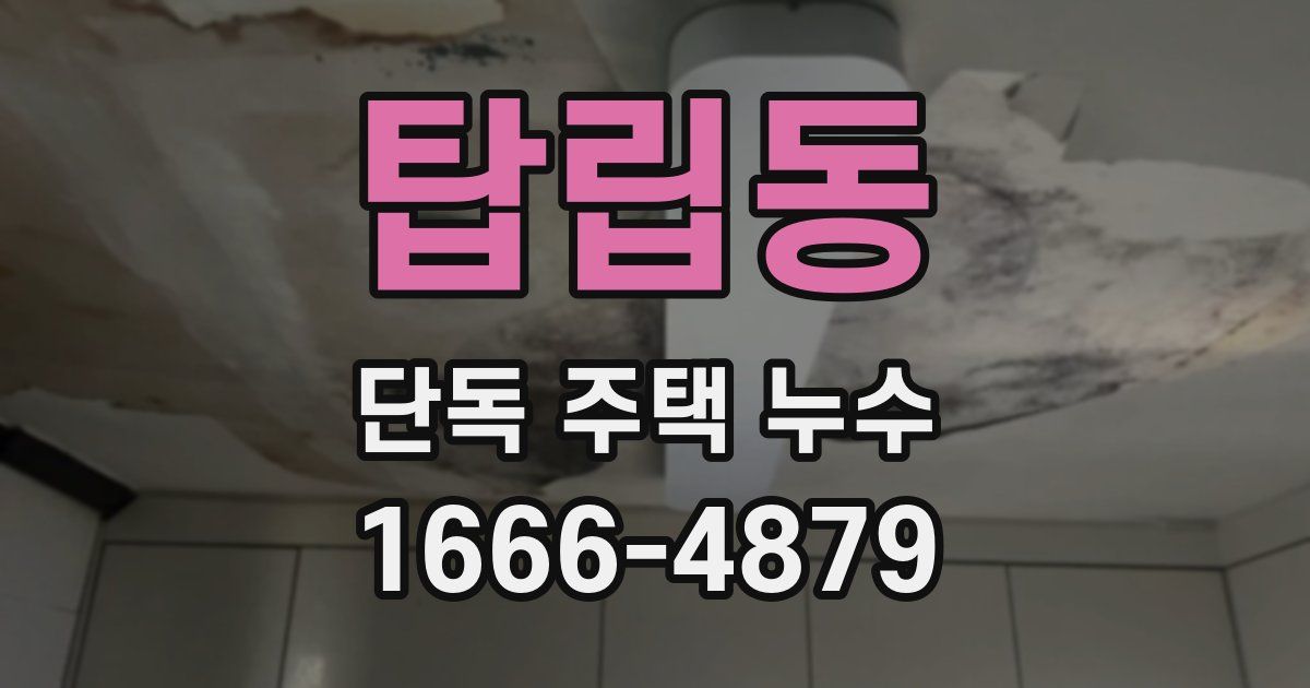 탑립동 단독 주택 누수