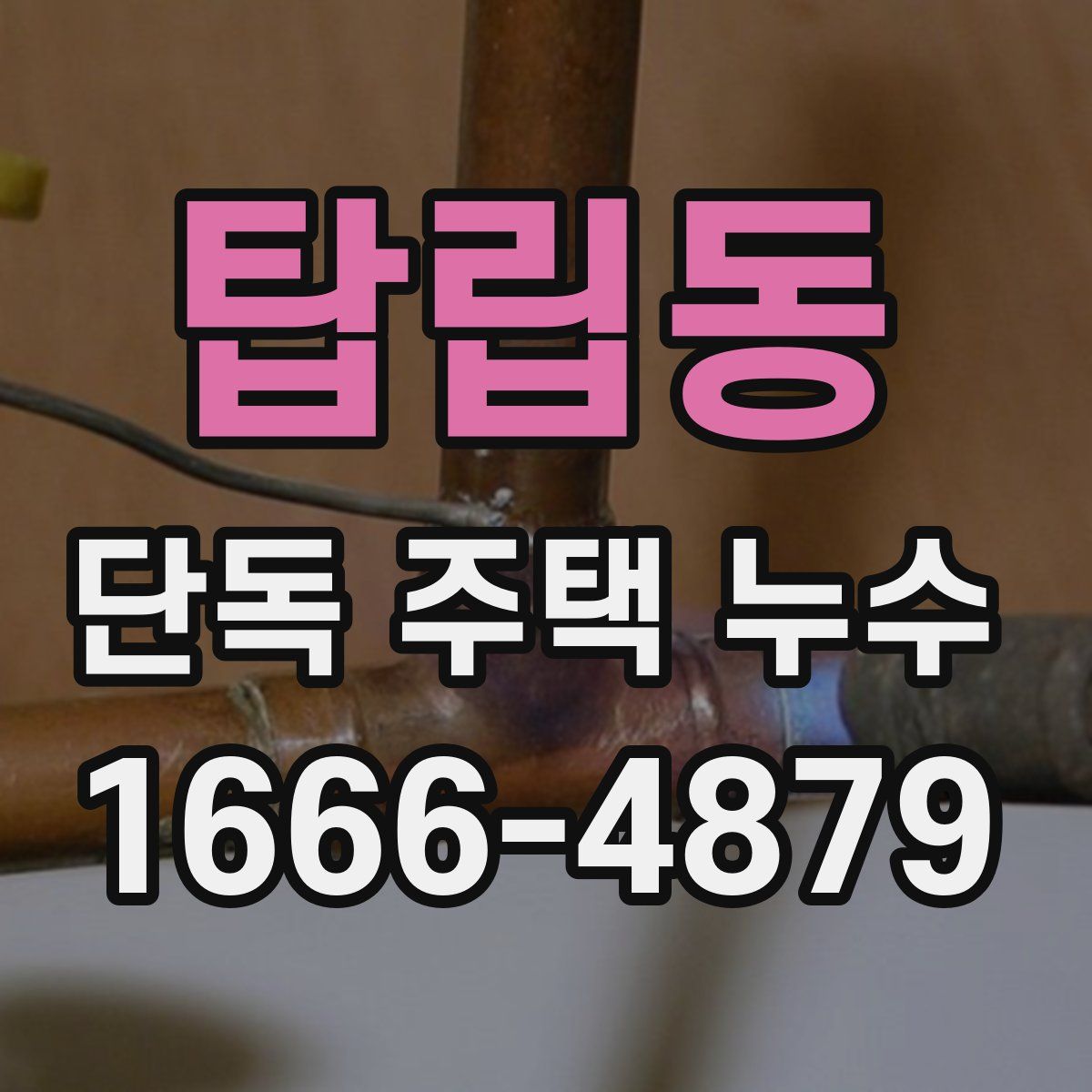 탑립동 단독 주택 누수