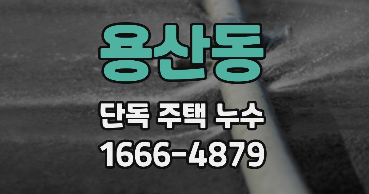 용산동 단독 주택 누수