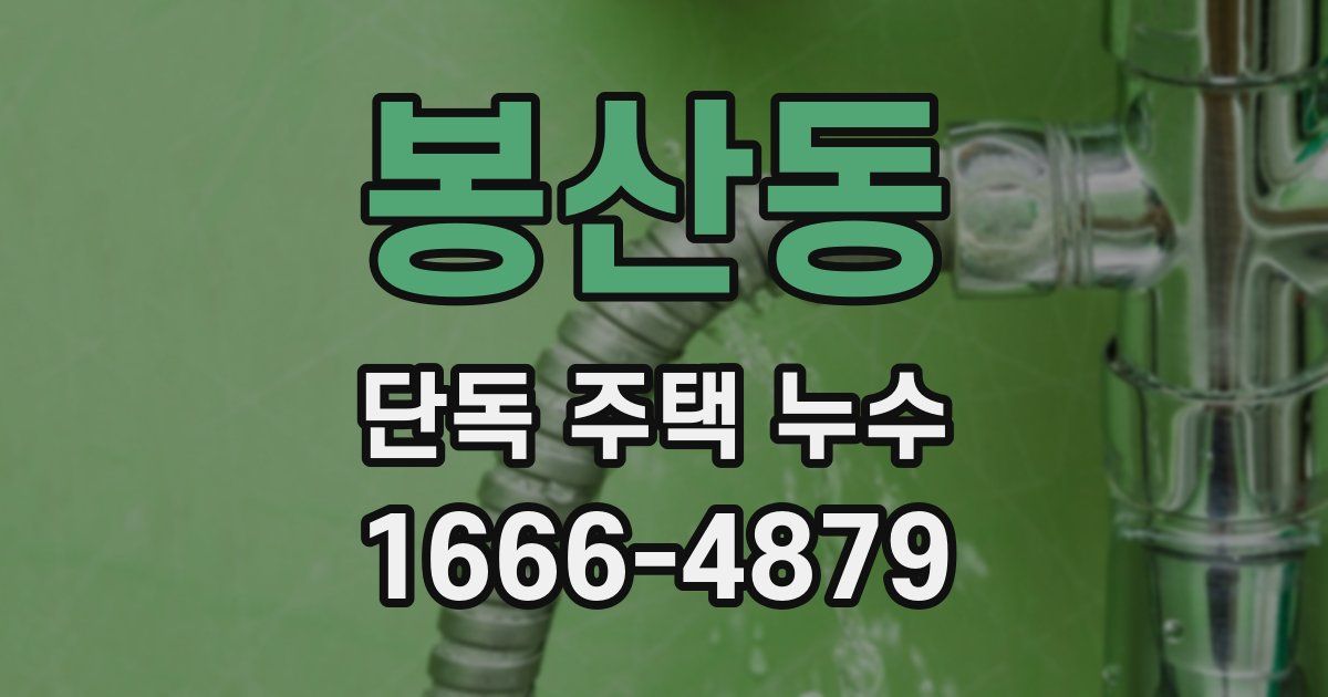 봉산동 단독 주택 누수