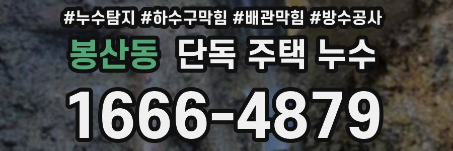 봉산동 단독 주택 누수