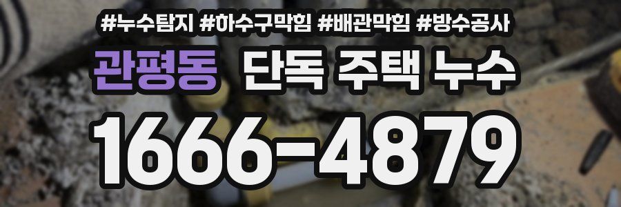 관평동 단독 주택 누수