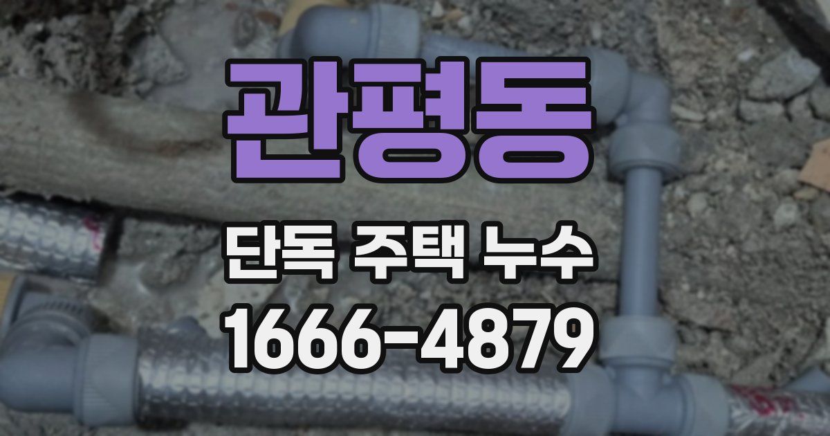 관평동 단독 주택 누수