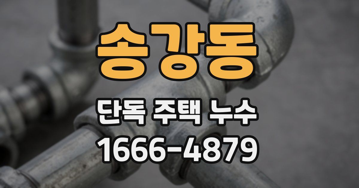 송강동 단독 주택 누수