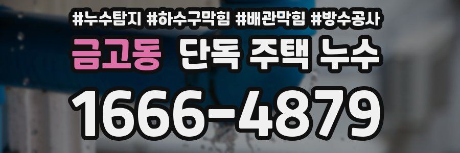 금고동 단독 주택 누수