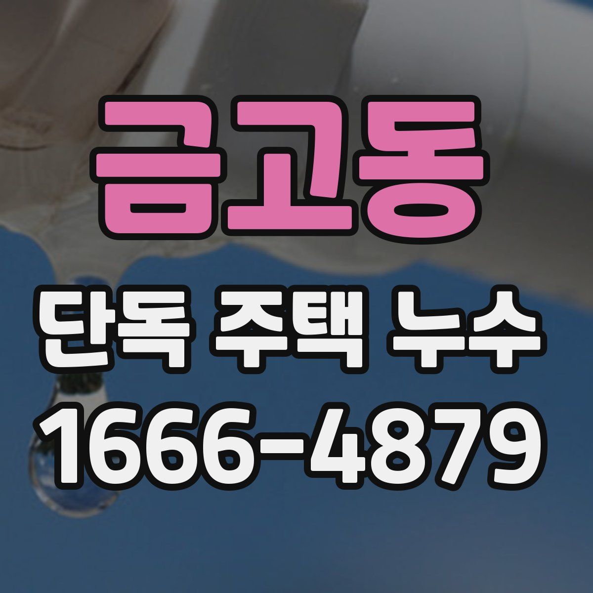 금고동 단독 주택 누수