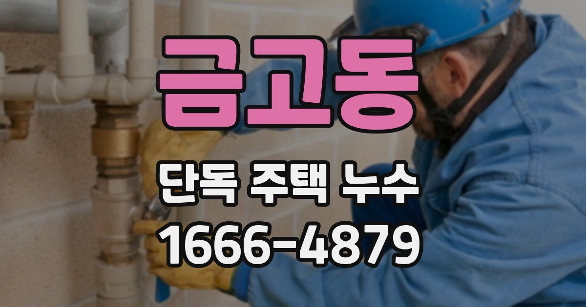 금고동 단독 주택 누수