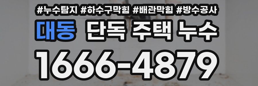 대동 단독 주택 누수