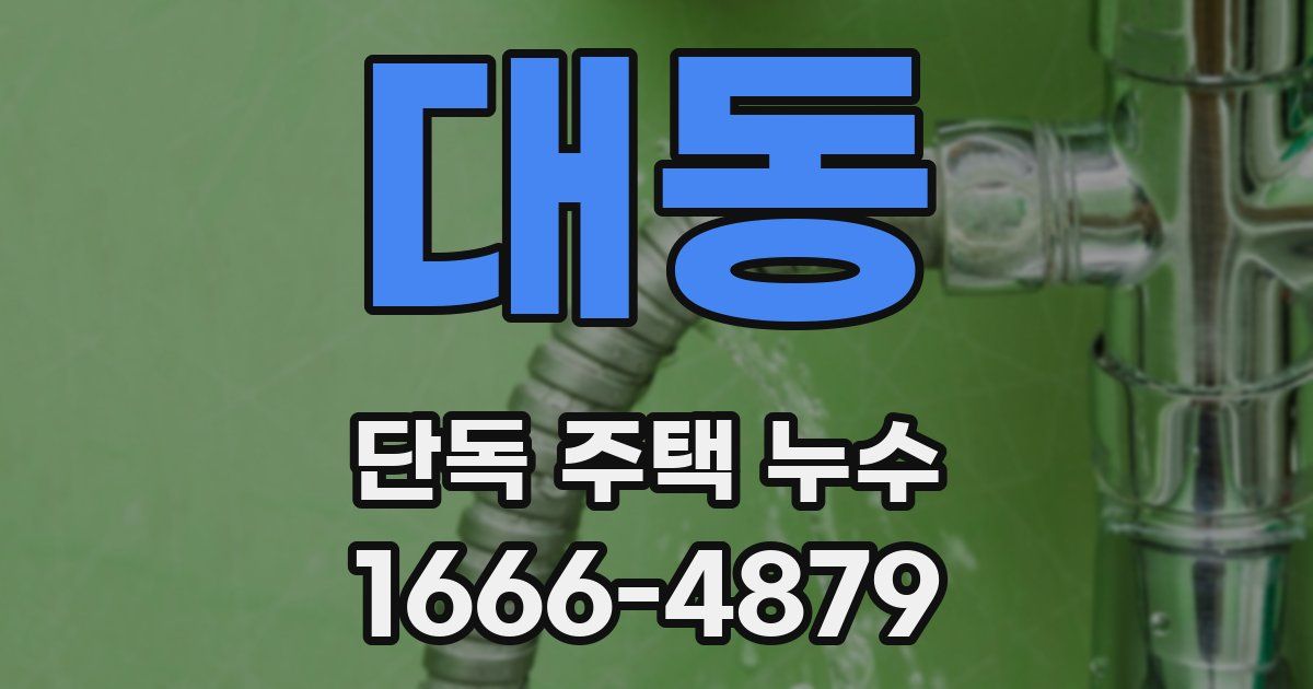 대동 단독 주택 누수