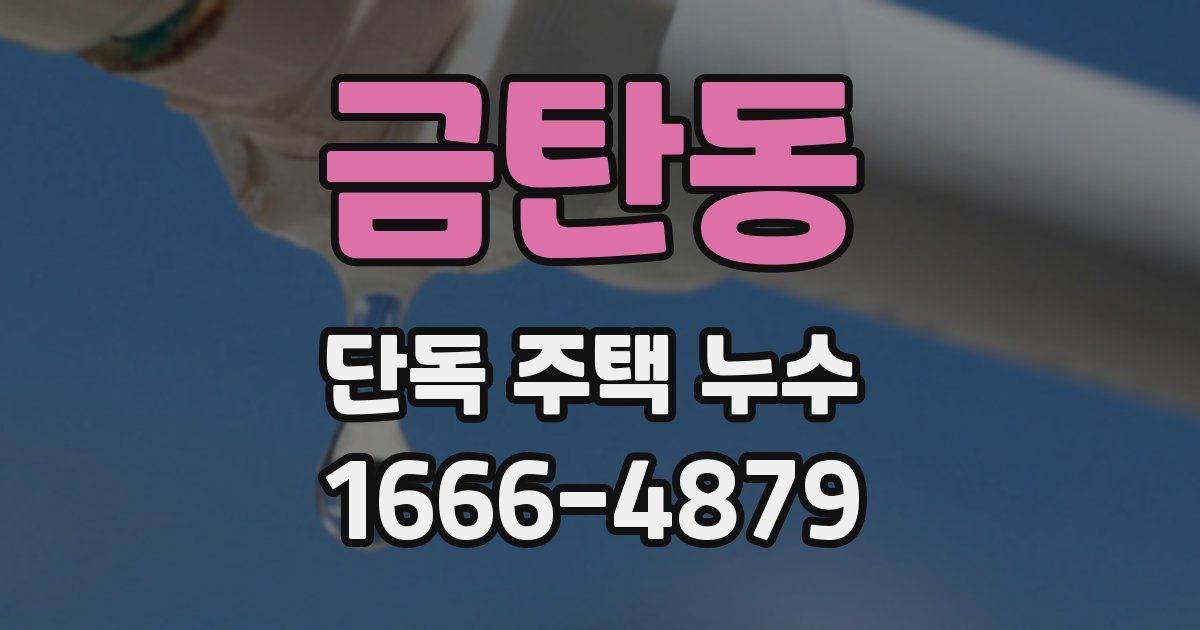 금탄동 단독 주택 누수