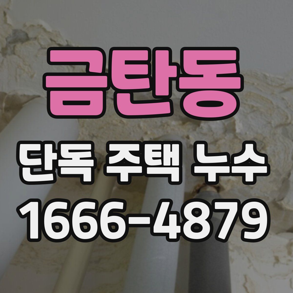 금탄동 단독 주택 누수
