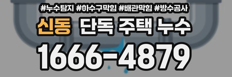 신동 단독 주택 누수