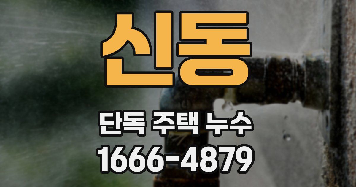 신동 단독 주택 누수