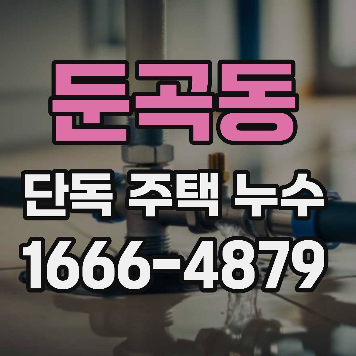 둔곡동 단독 주택 누수