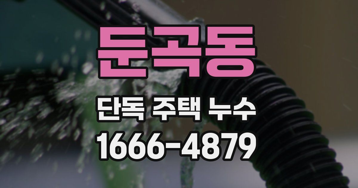 둔곡동 단독 주택 누수