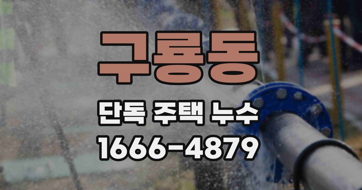 구룡동 단독 주택 누수